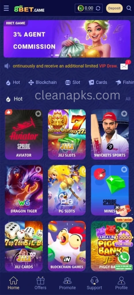 Screenshot of 8Bet Game