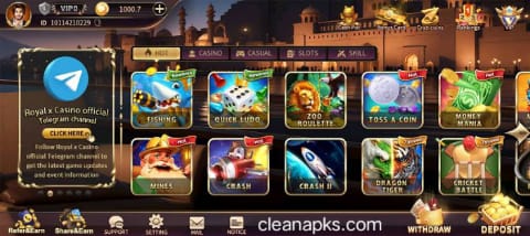 Screenshot of Royal X Casino game